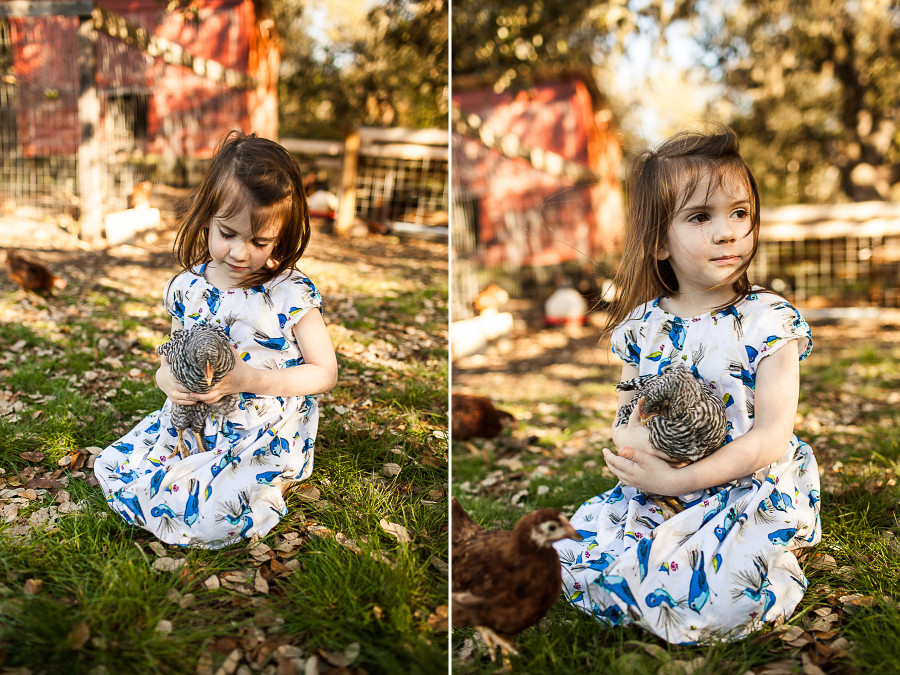 SHiloh Photography || Chicken Love 3.294