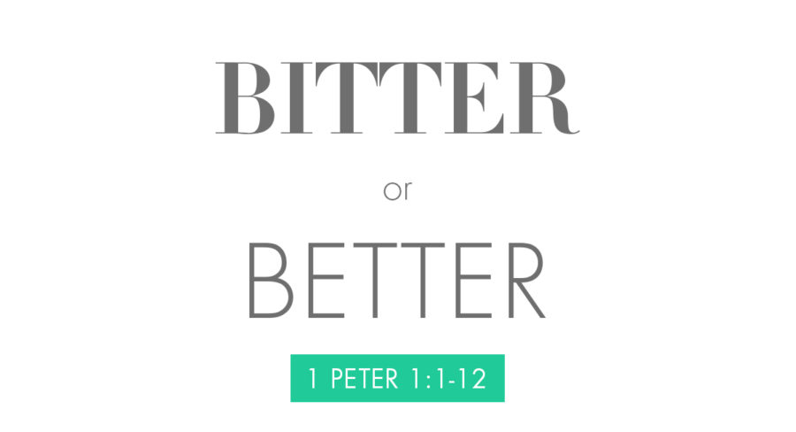 150913_bitter-or-better