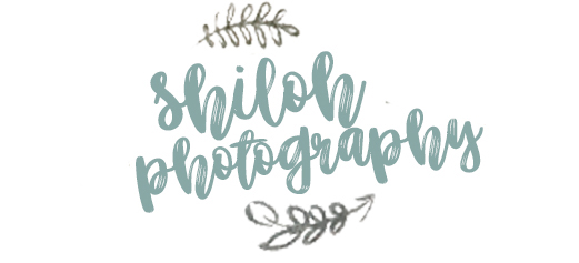 Shiloh Photography - the blog